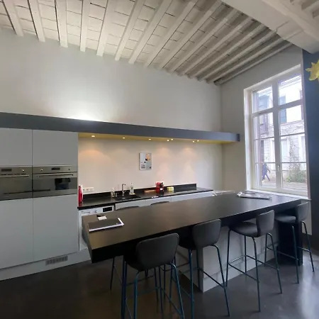 Au Beau Lieu De Metz Appartement Lille