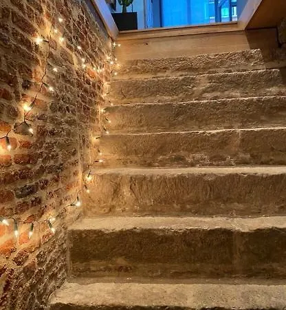 公寓 Au Beau Lieu De Metz 里尔