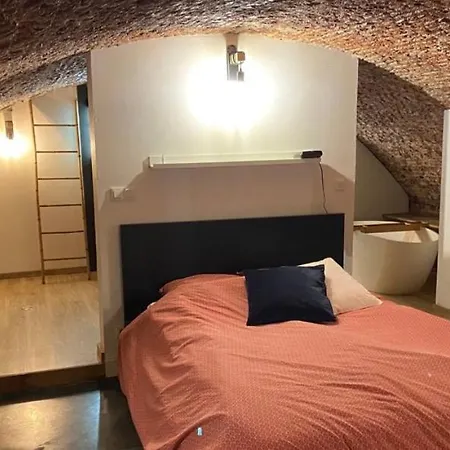 公寓 Au Beau Lieu De Metz *